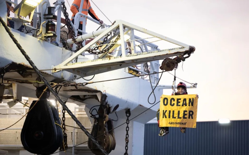 Greenpeace activists have occupied Talley’s bottom trawler, Amaltal Columbia, stopping it from...