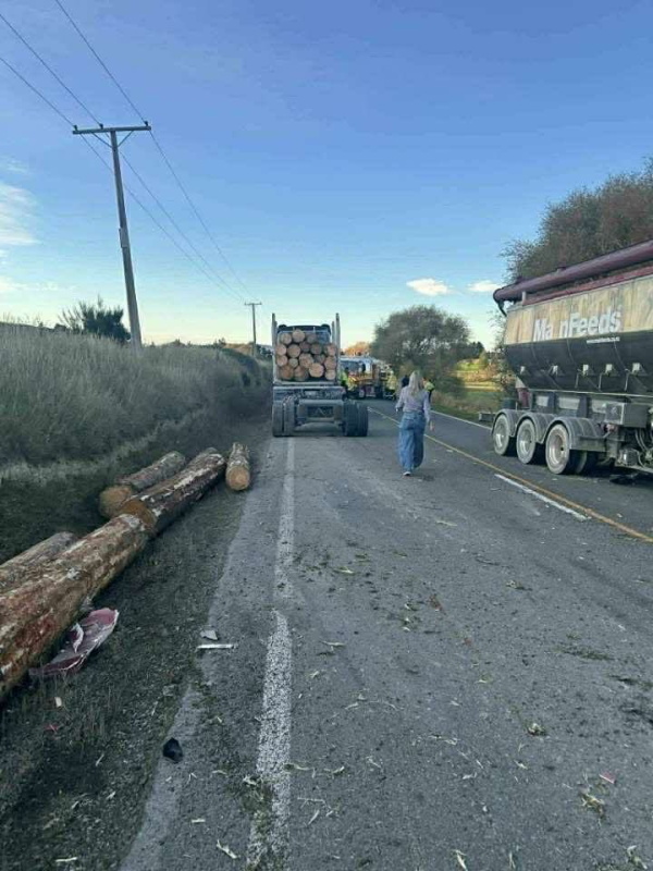 Logs on the side of the road following the crash north of Hampden this morning. Photo: Supplied
