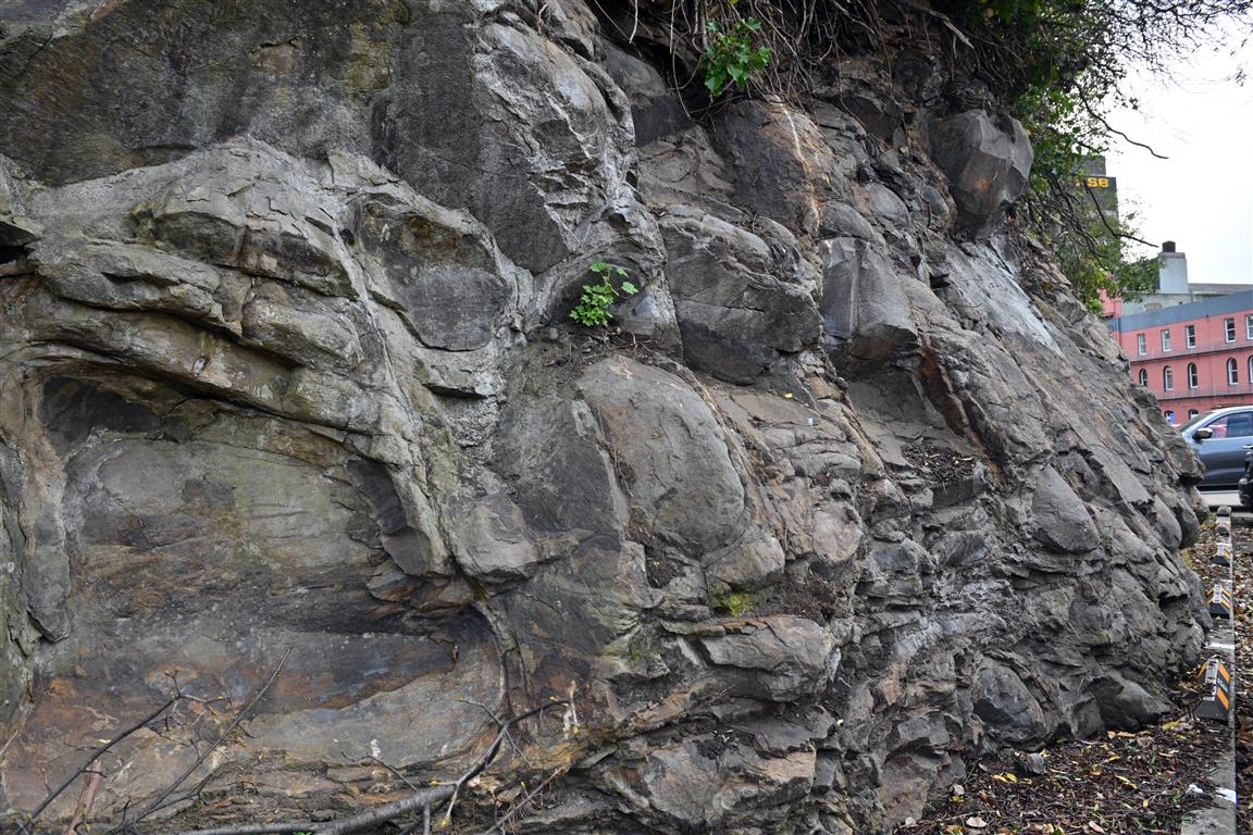 Igneous rock in the car park opposite the Leviathan Hotel in Dunedin. Photo: Linda Robertson 