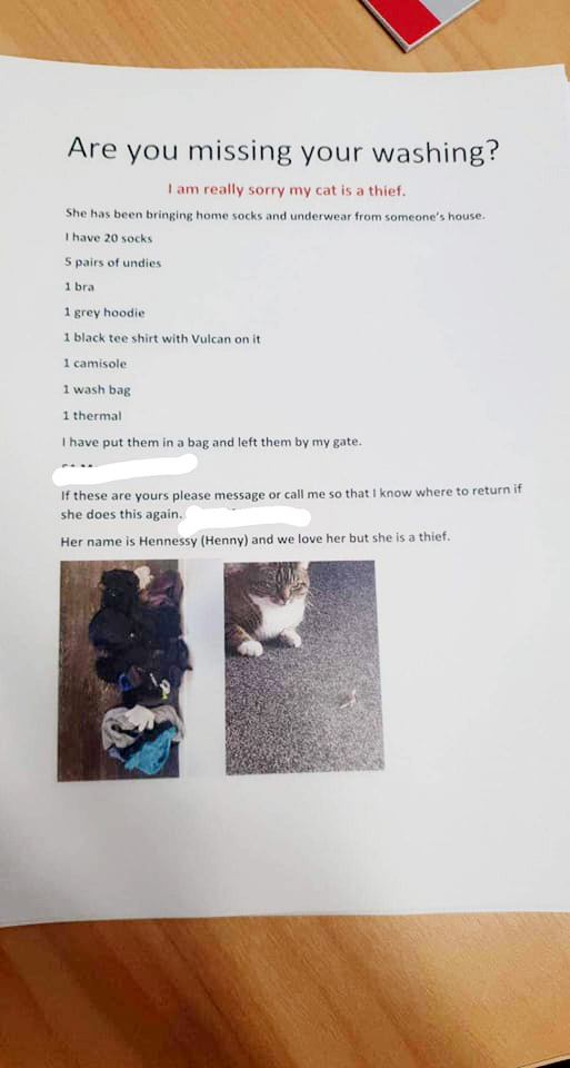 Logan Salton created a flyer in an attempt to return the stolen items to their owners. Image:...