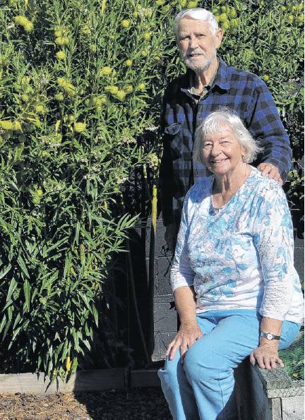 Lois and Dean Farrow alongside a row of swan plants (milkweed) they have established to feed and...