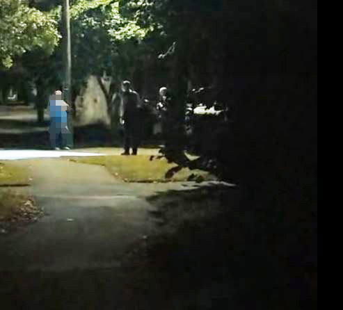 A man believed responsible for a spate of fruit and food-based vandalism in a St Albans street...