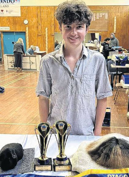 Josh Wilson-Jones with his winner and runner-up guinea pigs at the Otago Cavy Club show earlier...