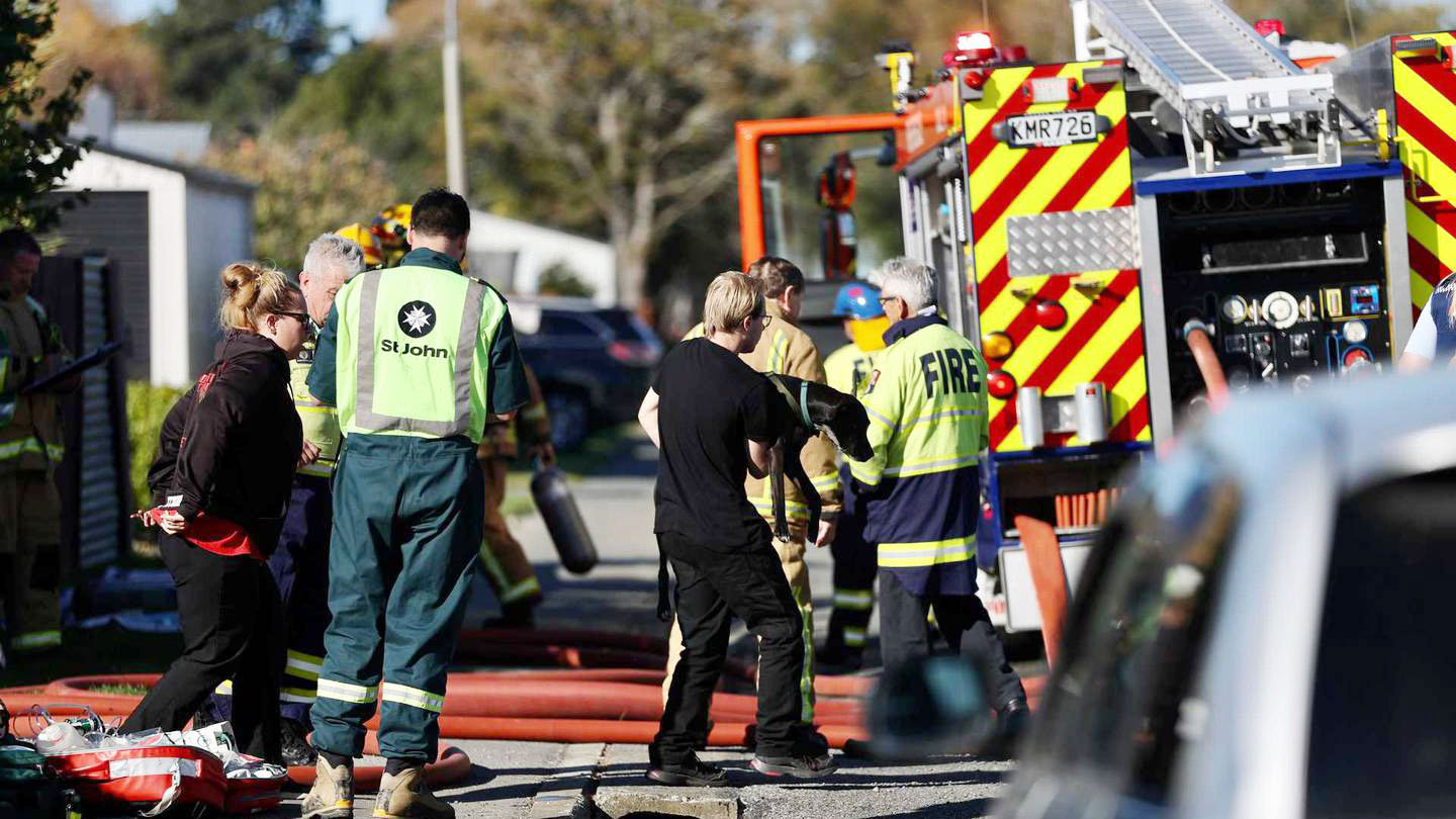 Sophie the dog was rescued from a house fire in Kaiapoi. Photo: George Heard