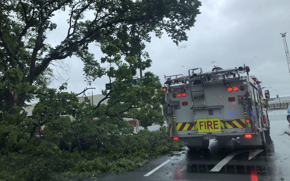 Fire and Emergency New Zealand were involved in the clean-up. Photo: Supplied