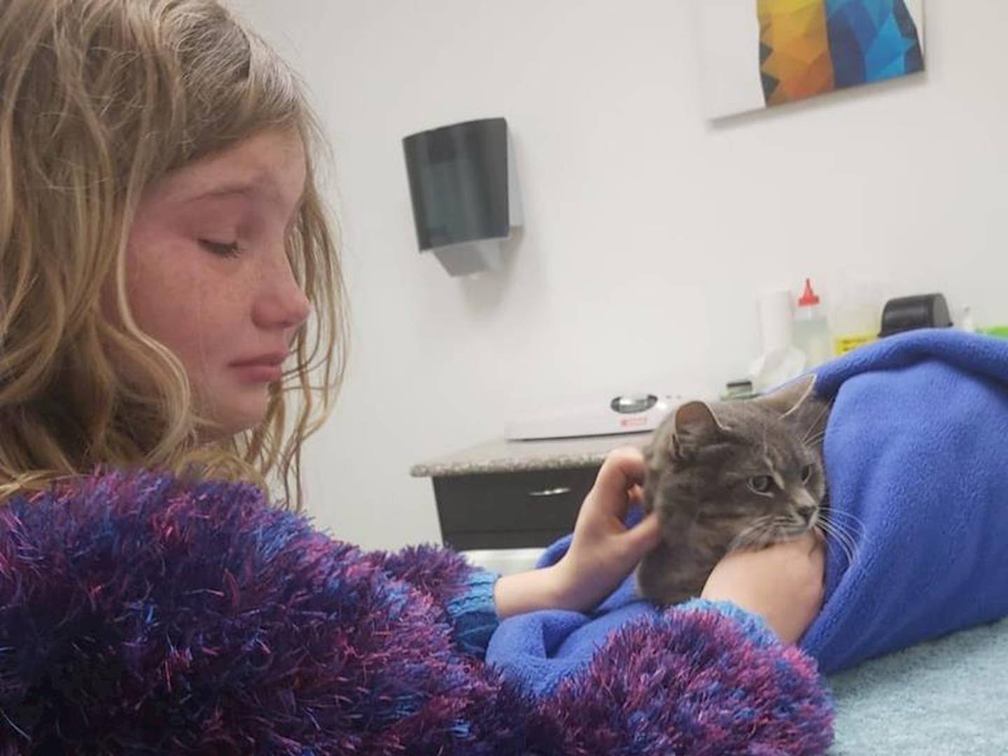Anara's mother Amy says Holly was deliberately poisoned and had a piece of meat Holly threw up...
