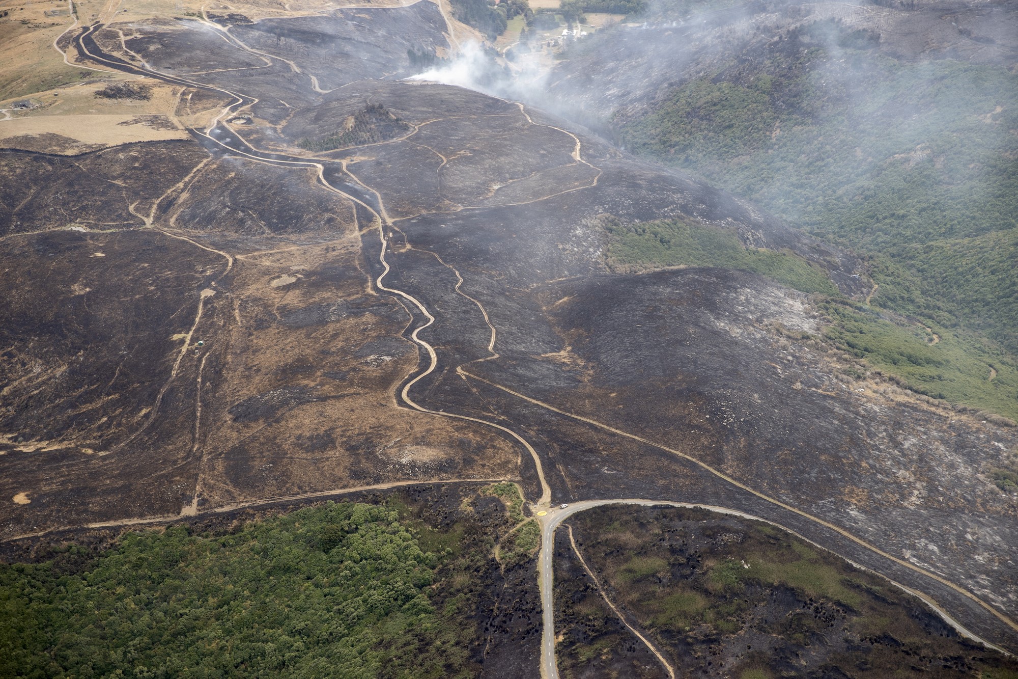 Scorched patches of land on the Port Hills this afternoon. Photo: NZ Herald 