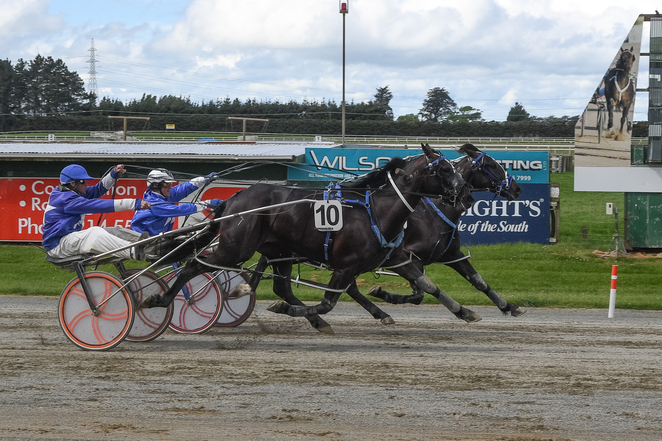 Maverick and Nigel McGrath hold out My Wee Man and Blair Orange to win the Riverton Cup at Ascot...