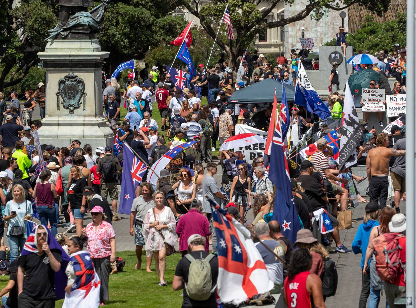 Protesters on Parliament's forecourt and lawn in Wellington today. Photo: Mark Mitchell