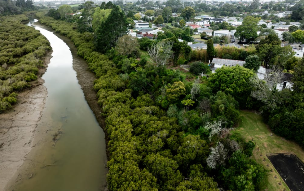 The Momutu Stream flows near properties in the Rānui/Henderson areas. Photo: RNZ 
