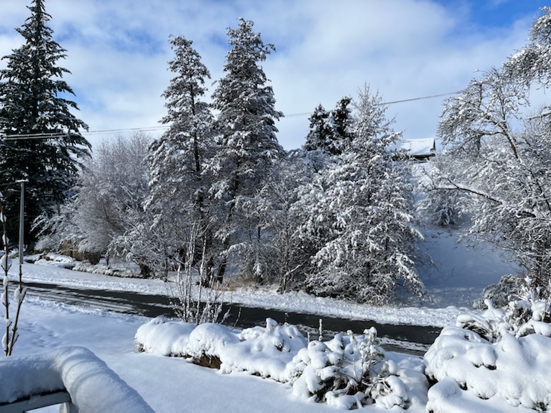 Heavy snow in Naseby this morning. Photo: Yvonne Facer 