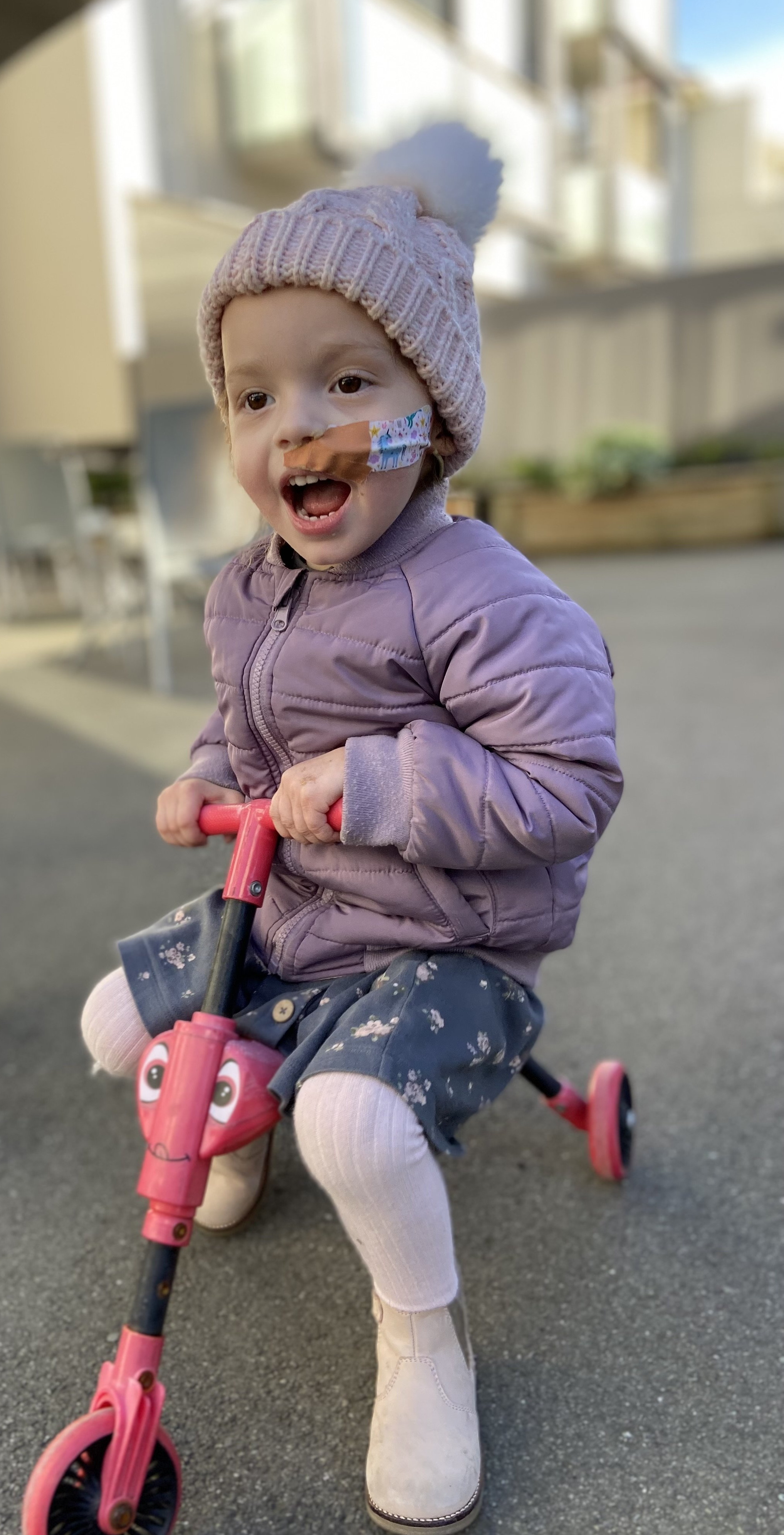 Indie Todd enjoys some outdoor time. PHOTO: SUPPLIED