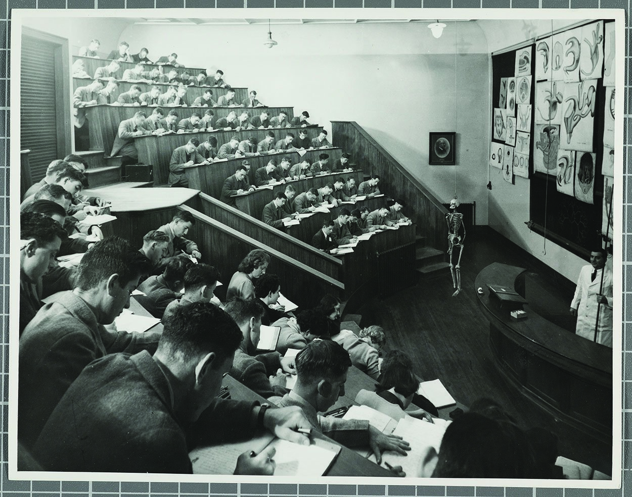 An anatomy lecture in progress at Otago Medical School in 1949. Photo: Hocken Collections