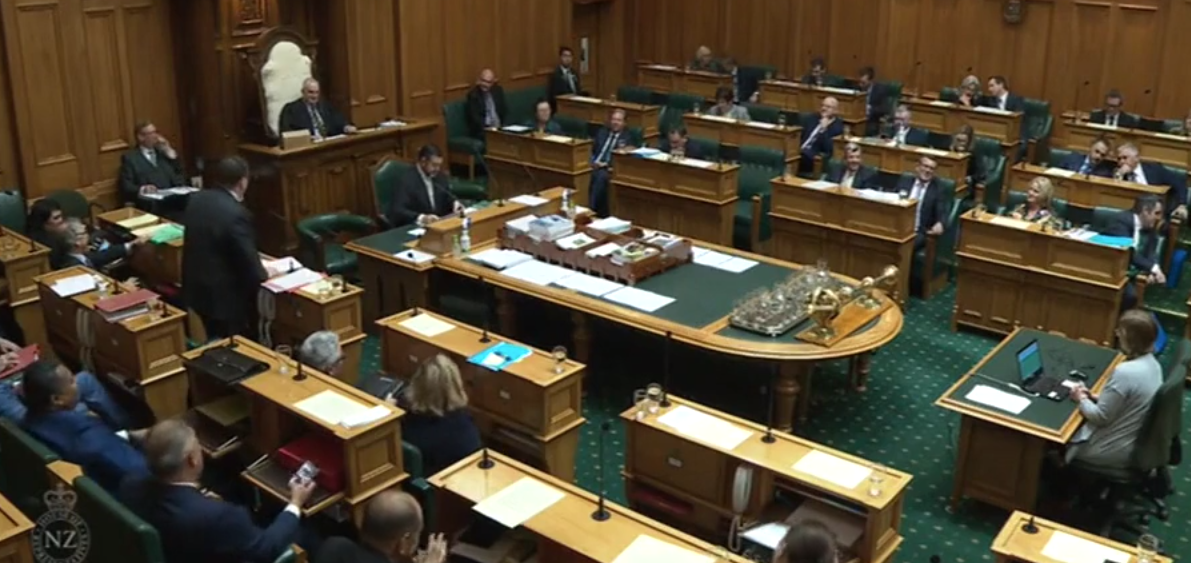 Judith Collins wasn't present in the debating chamber for today's speech. Image: Parliament TV