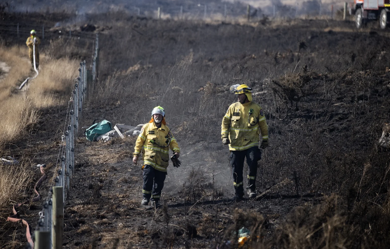 Firefighters survey the damage on Friday. Photo: NZ Herald 