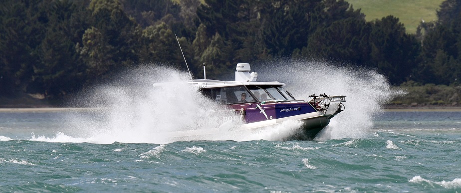 MV Sootychaser returns from a wildlife cruise on Otago Harbour. Photo: Stephen Jaquiery