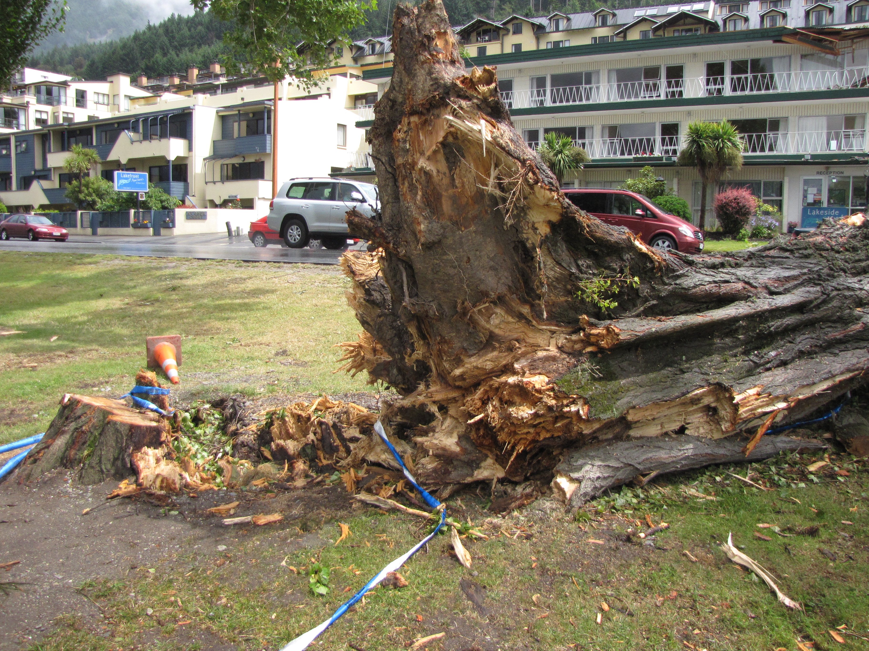 Queenstown's Lakeside Motel, owned by Plaza Investments Ltd, was damaged after a Lombardy poplar...