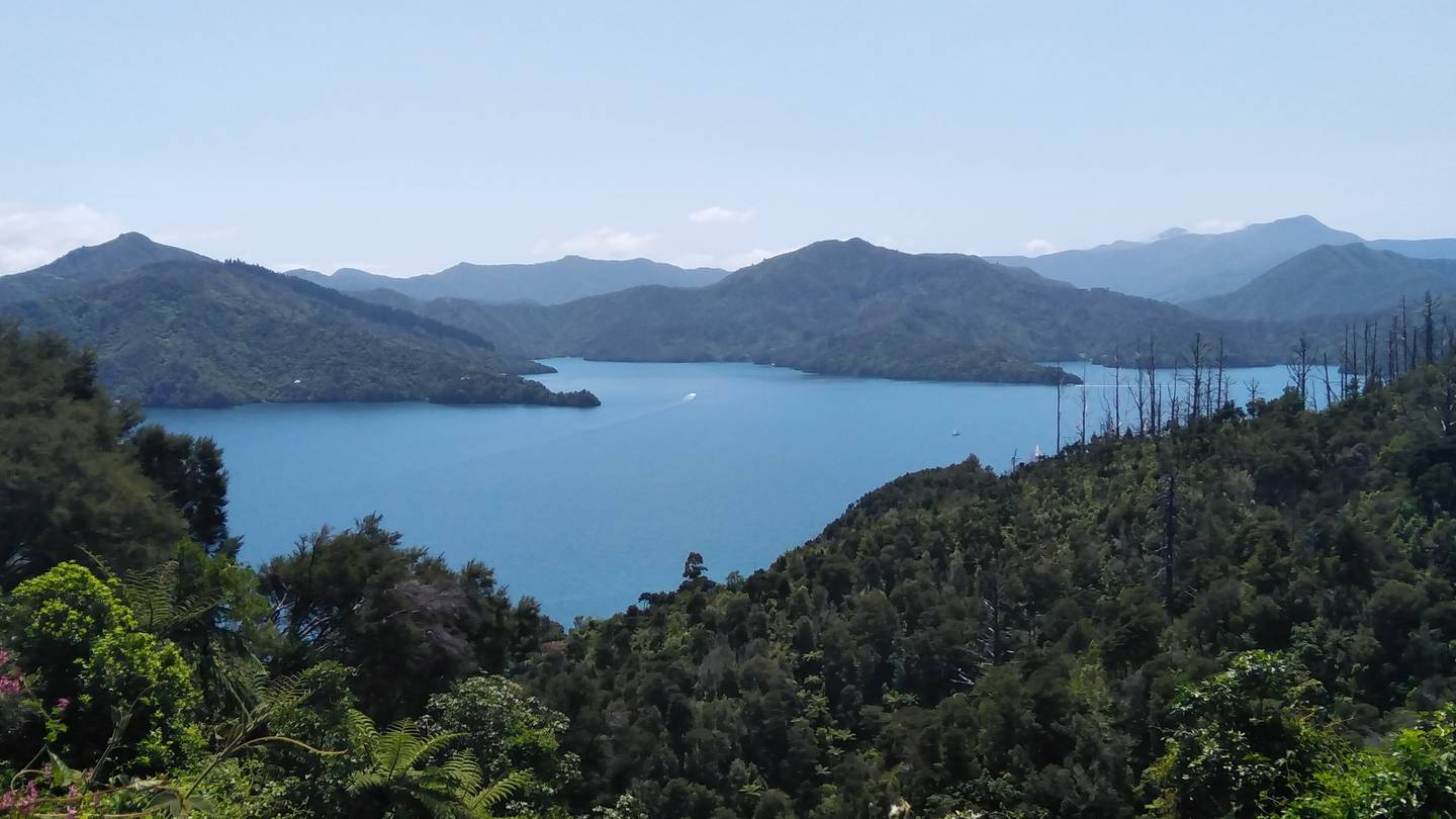 The Marlborough Sounds. Photo: NZH