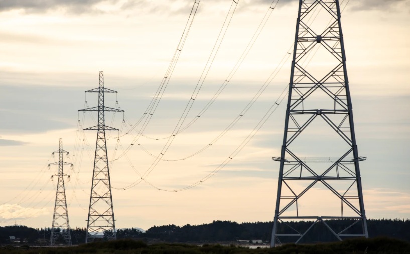 Power lines near Tiwai Point in Southland. Photo: RNZ 