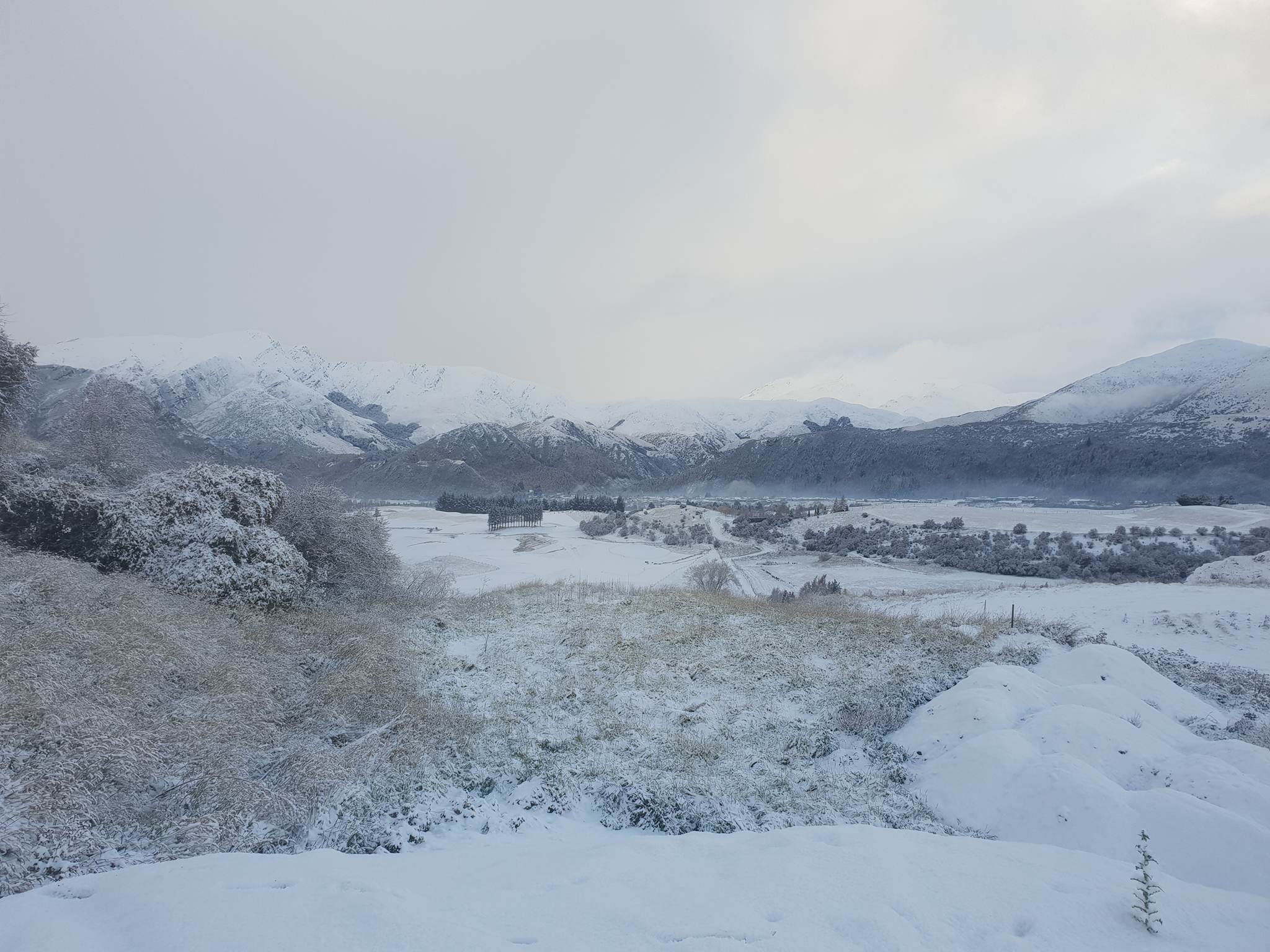 Snow in the Arrowtown area this morning. Photo: James Rolfe