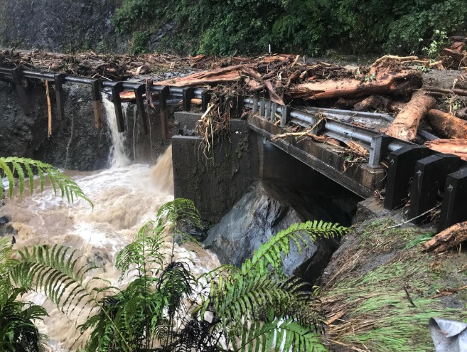 The slip on State Highway 6 between Fox Glacier and Franz Josef. Photo: Supplied via RNZ