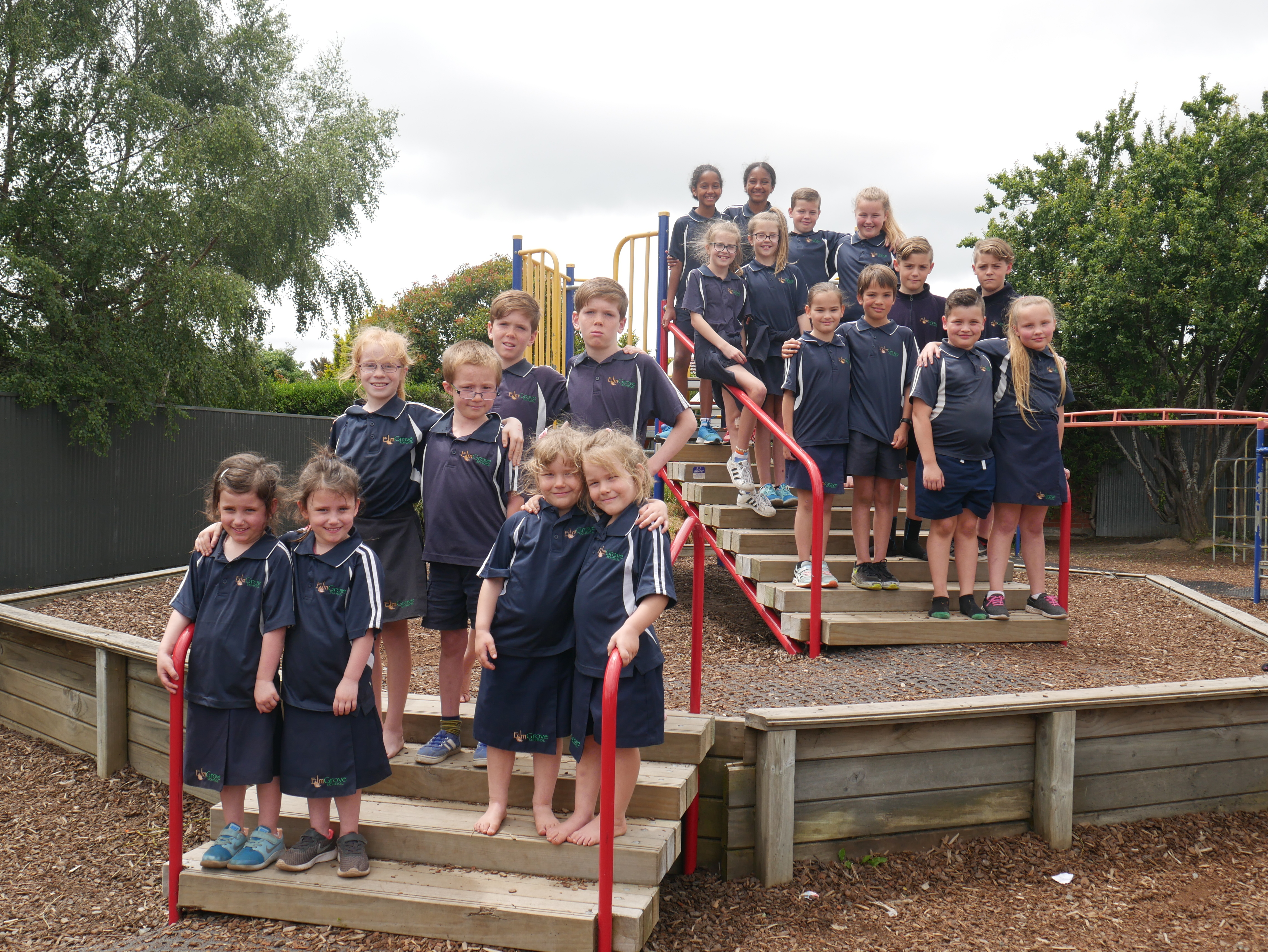 Elm Grove School twins (from back row to front) Sophie (left) and Chloe Robinson (11), 
...