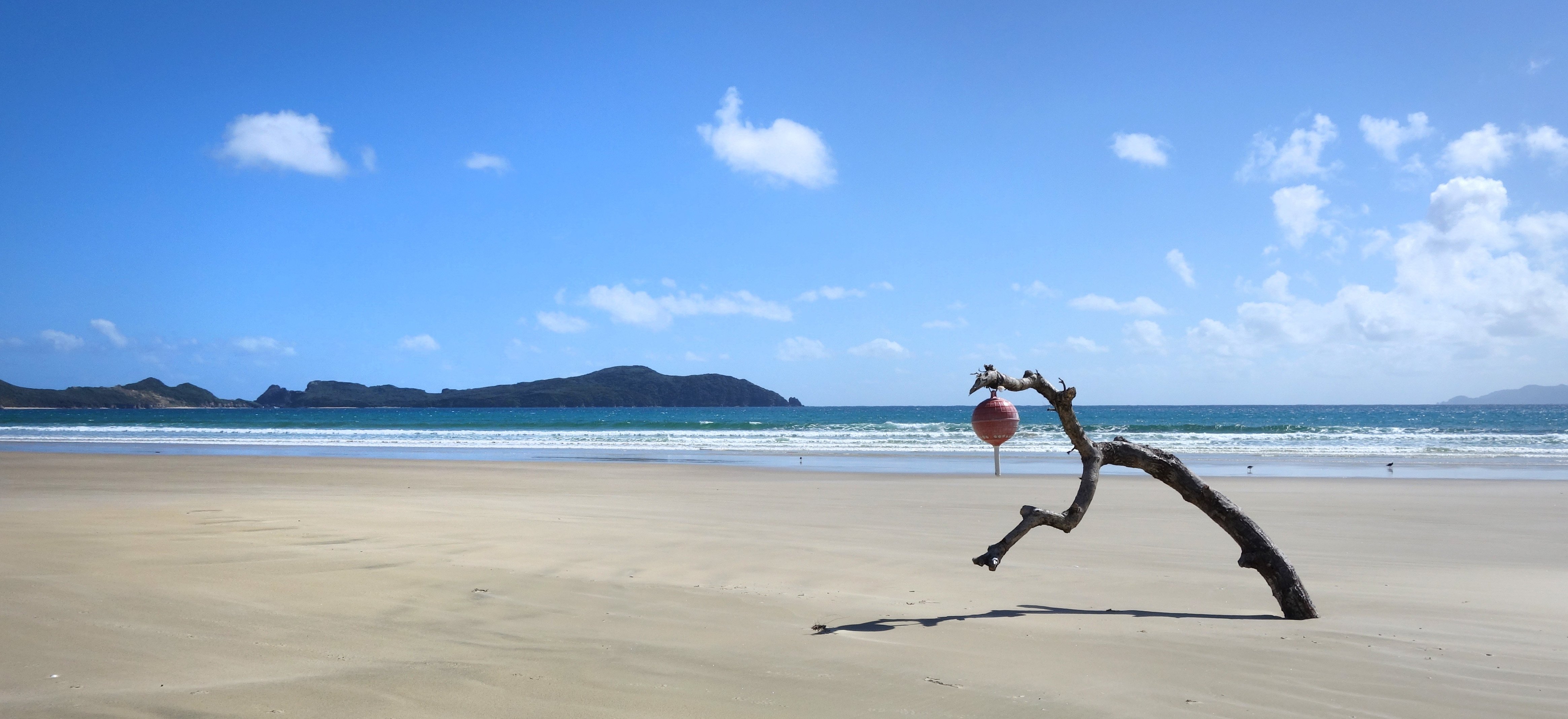 A buoy hangs from a piece of driftwood on the beach at Mason Bay. Photo: Hayden Meikle