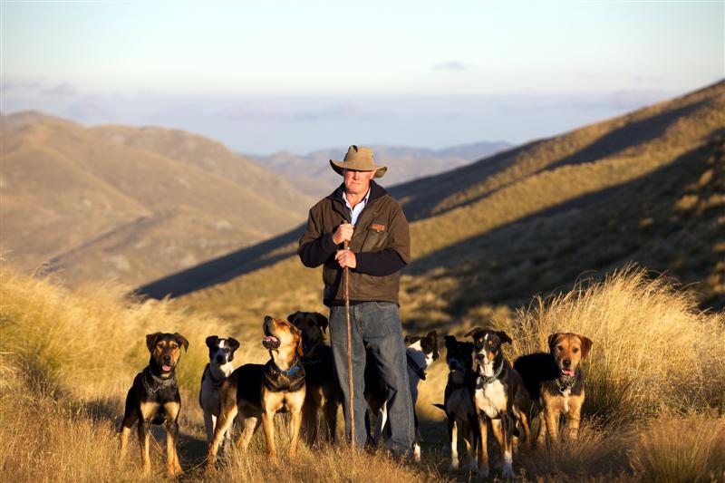 Training Dogs All About The Three Ps Otago Daily Times