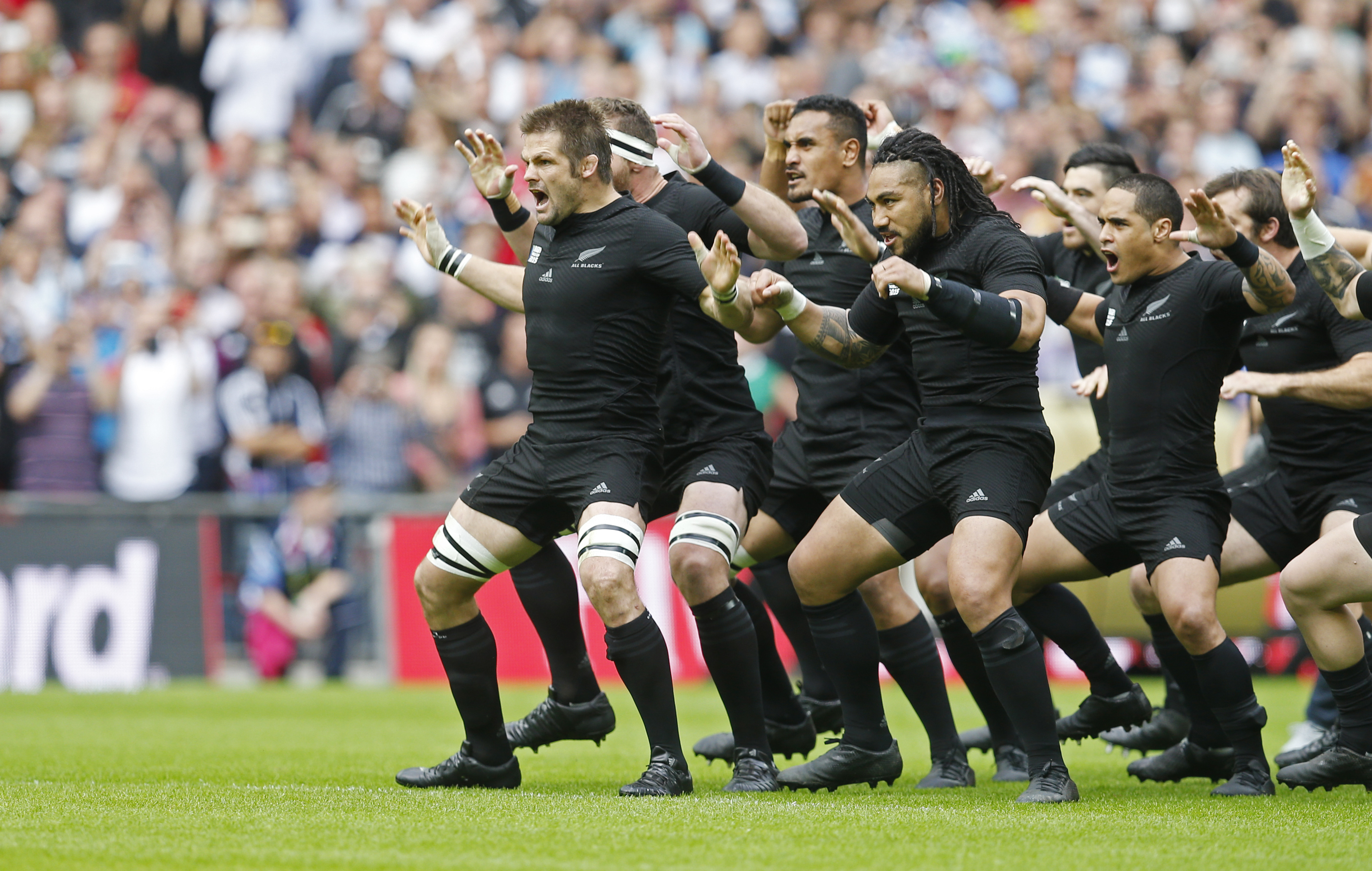 New Zealand Rugby Haka Telegraph