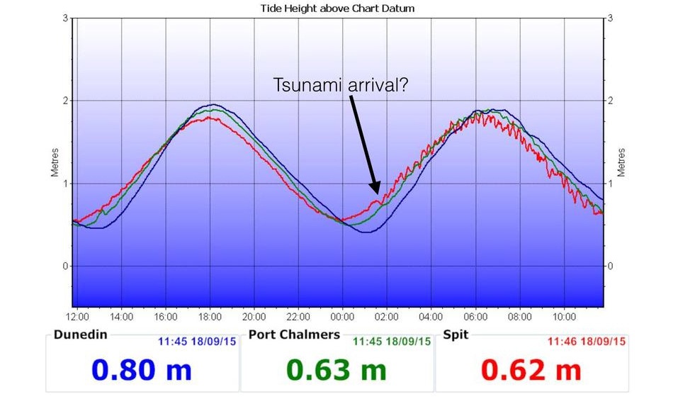 Dunedin Tide Chart