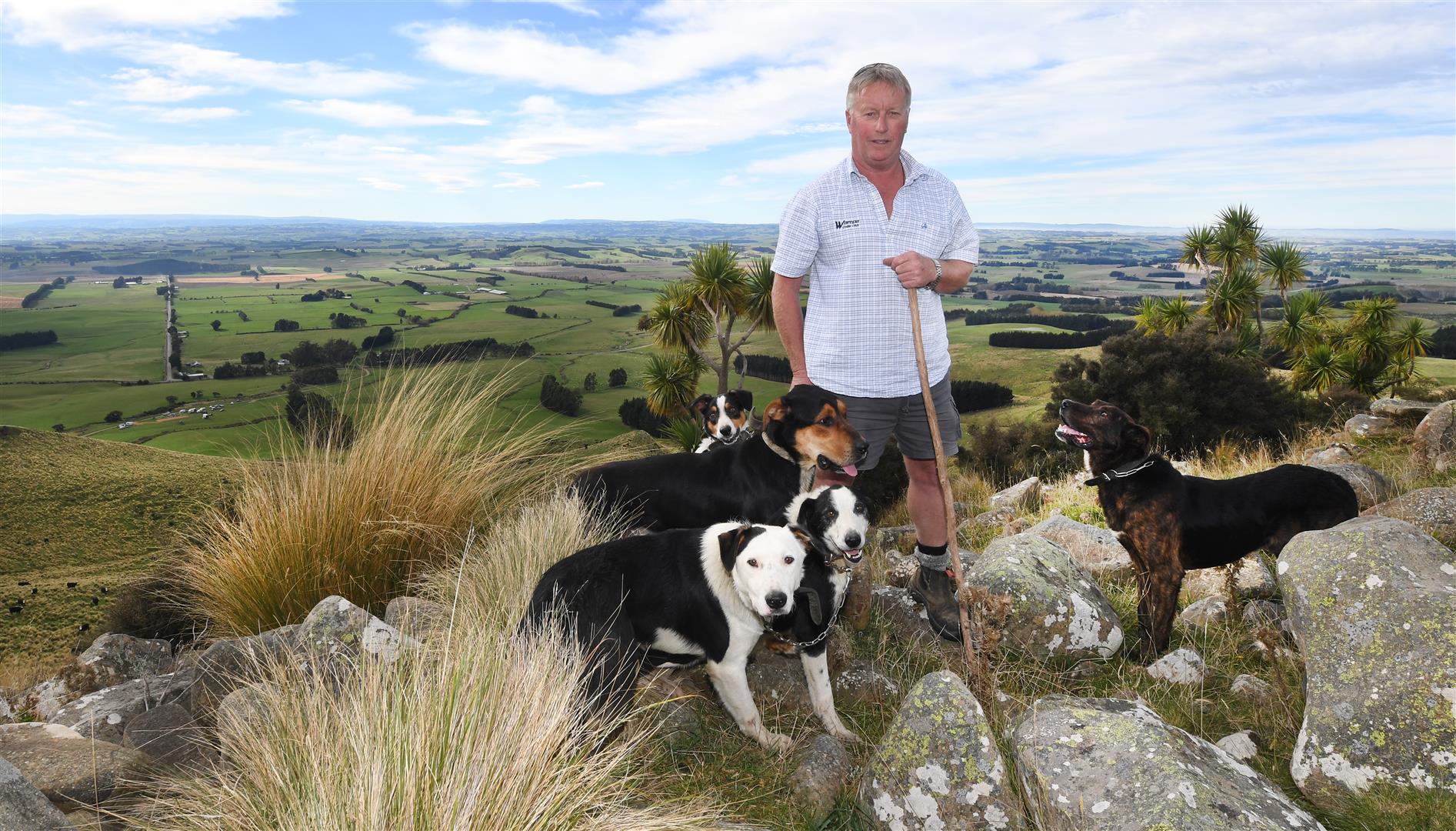 Warepa Collie Club member Robin McKenzie and his dogs Kip, Slade, Dice, Paul and Ralph overlook the club's grounds in South Otago. Photo: Stephen Jaquiery.