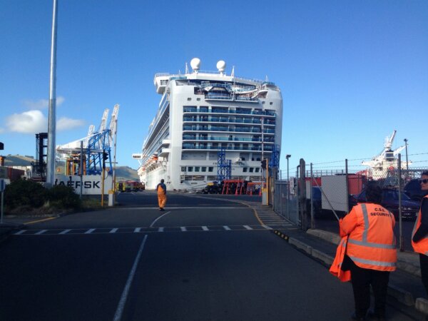 A person was killed on board the cruise ship Emerald Princess at Port Chalmers in February. Photo...