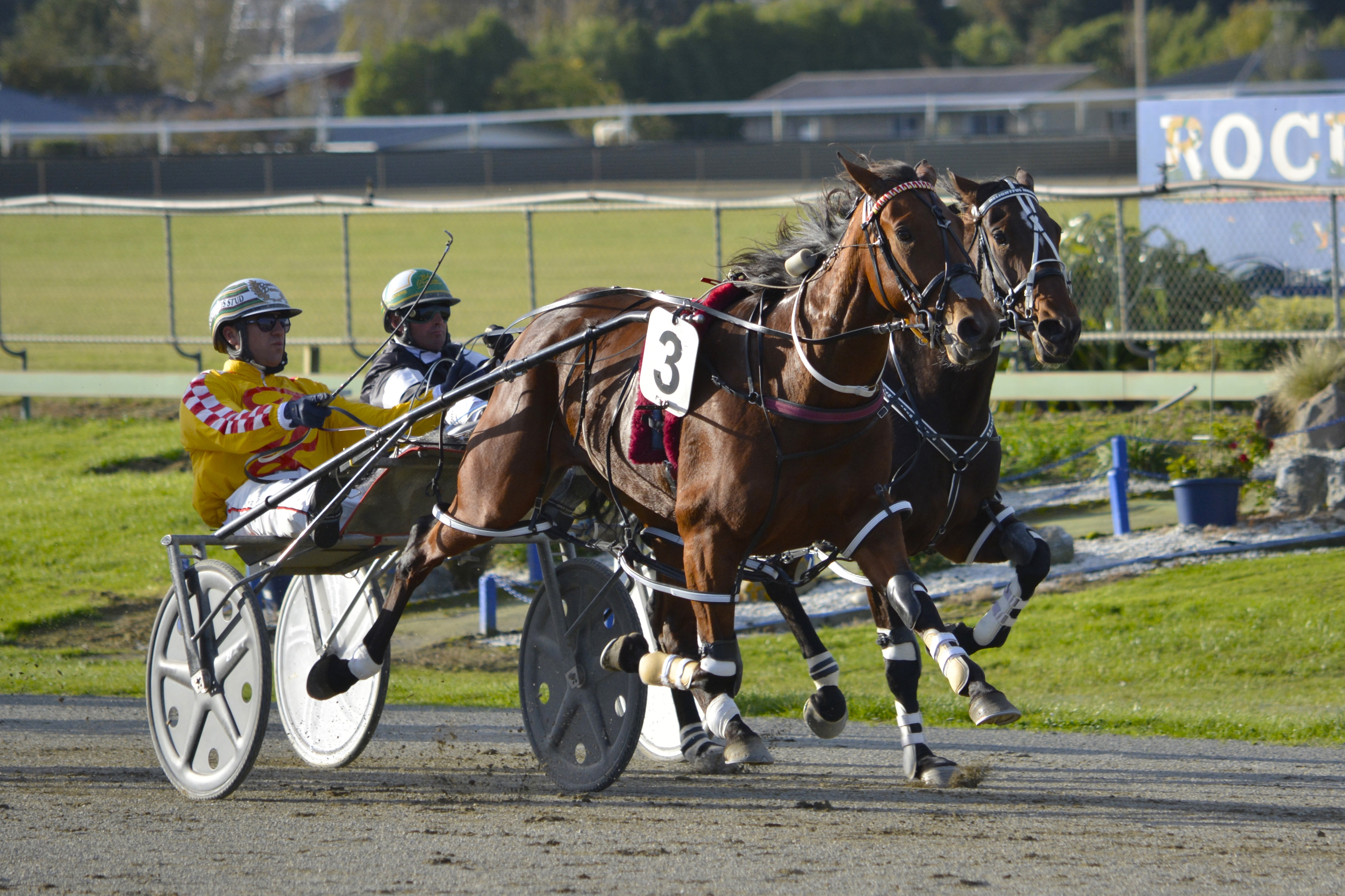 New Zealand Oaks contender Bonnie Joan heads a strong book of drives Dexter Dunn has on tonight’s...