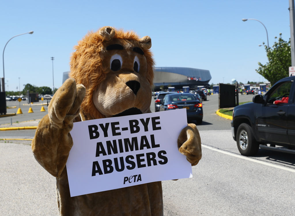 Members of People for the Ethical Treatment of Animals picket outside the circus on the final day...