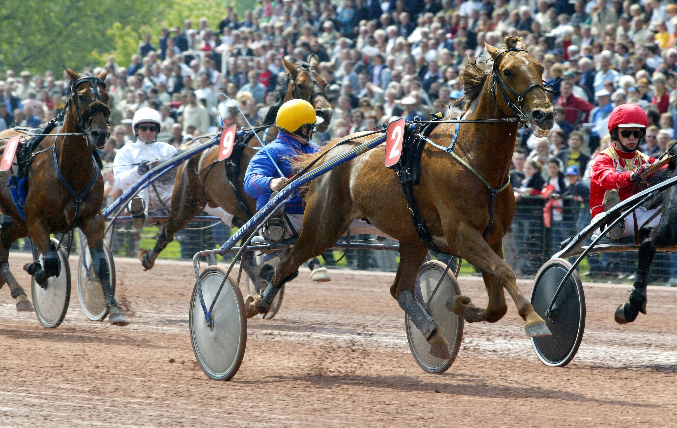 French stallion Love You winning his second group II Prix des Ducs de Normandie at Caen in 2015....