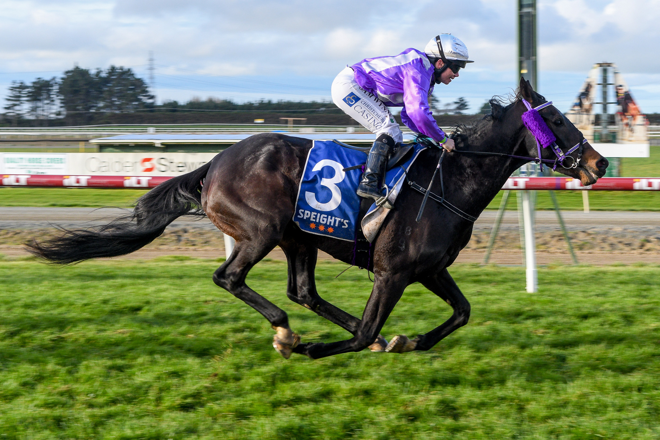 Miss Three Stars and rider Samantha Wynne combine in yesterday's Wairio Cup for their ninth win. Photo: Wild Range Photography.