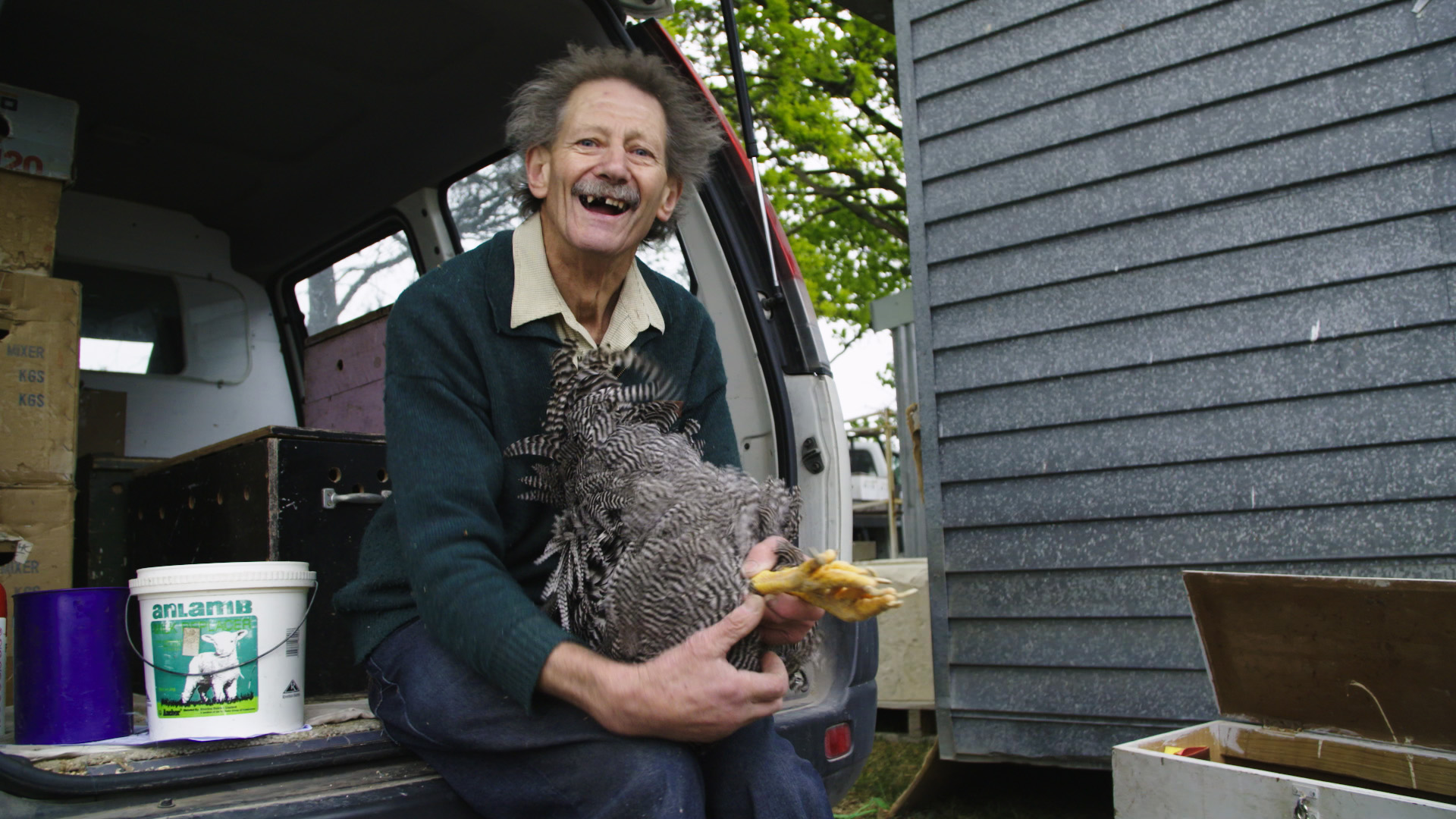 The scene-stealing Brian Glassey with one of his prize-winning barred Plymouth Rock chickens. 
