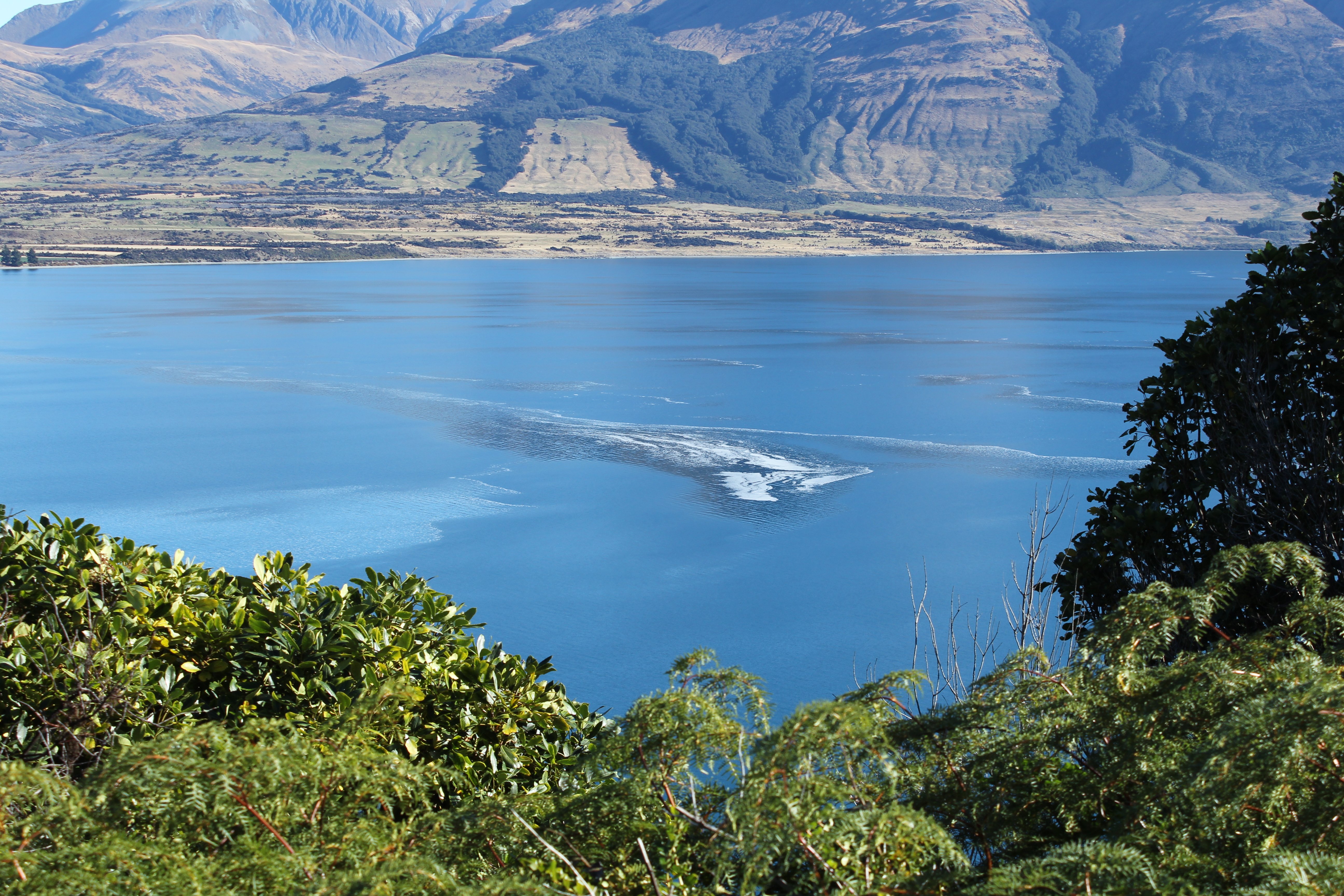 Slick formations, driven by specific wind conditions, formed on the surface of Lake Wakatipu...