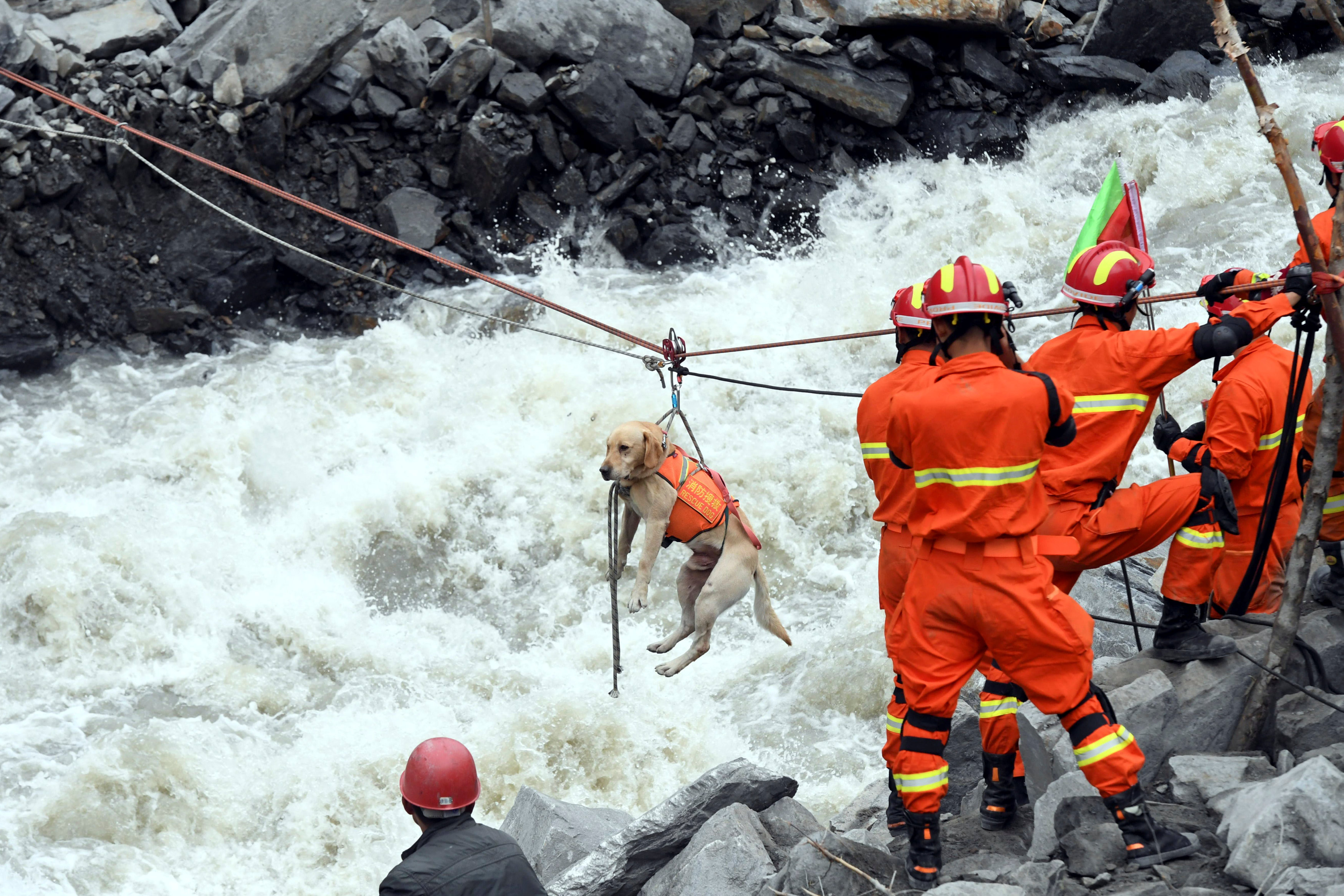 Rescue workers pull a rescue dog across a river at the site of a landslide in the village of...