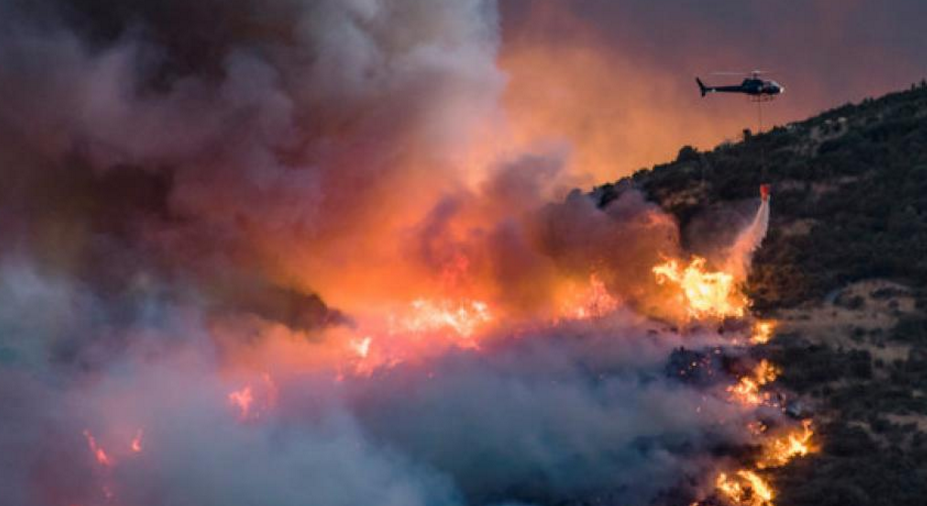 The Port Hills fires are now being investigated a a crime. Photo: Reuters