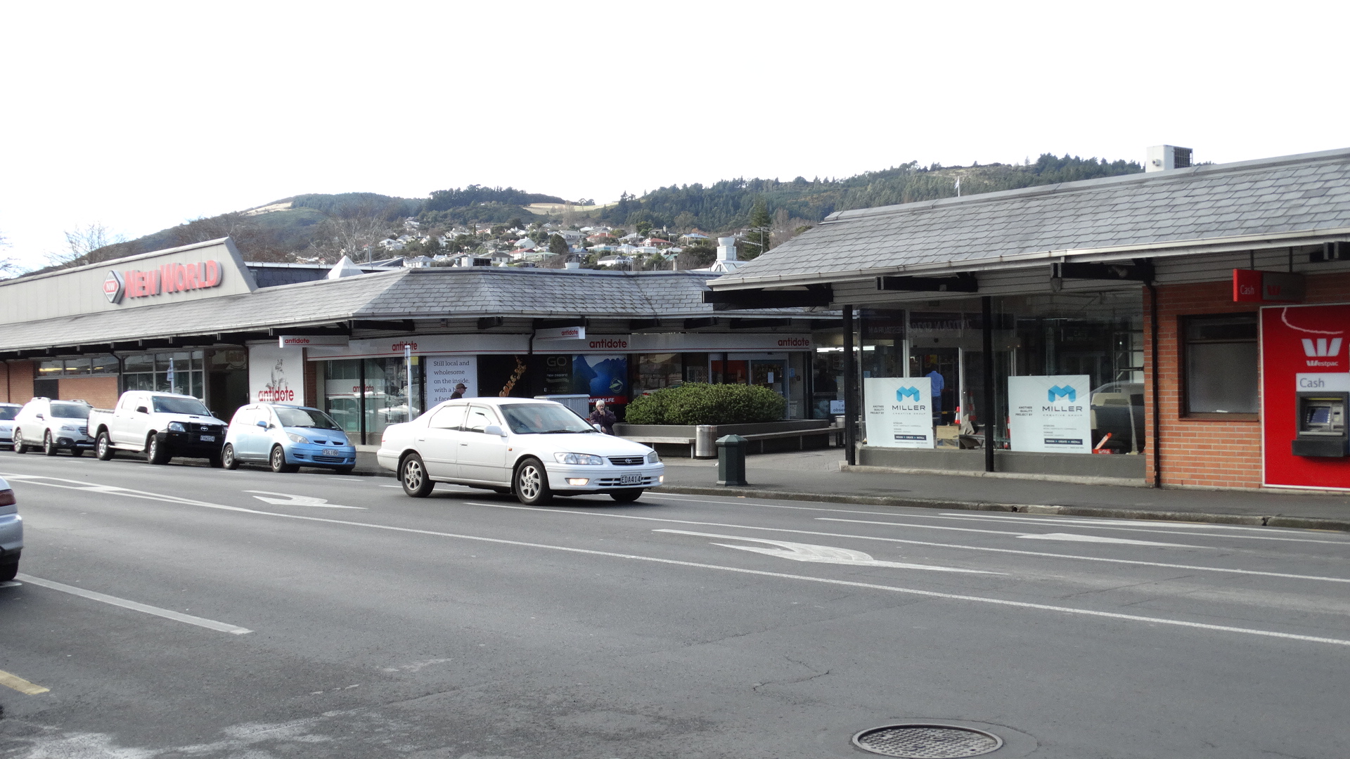 New World Supermarket Gardens Dunedin Fasci Garden