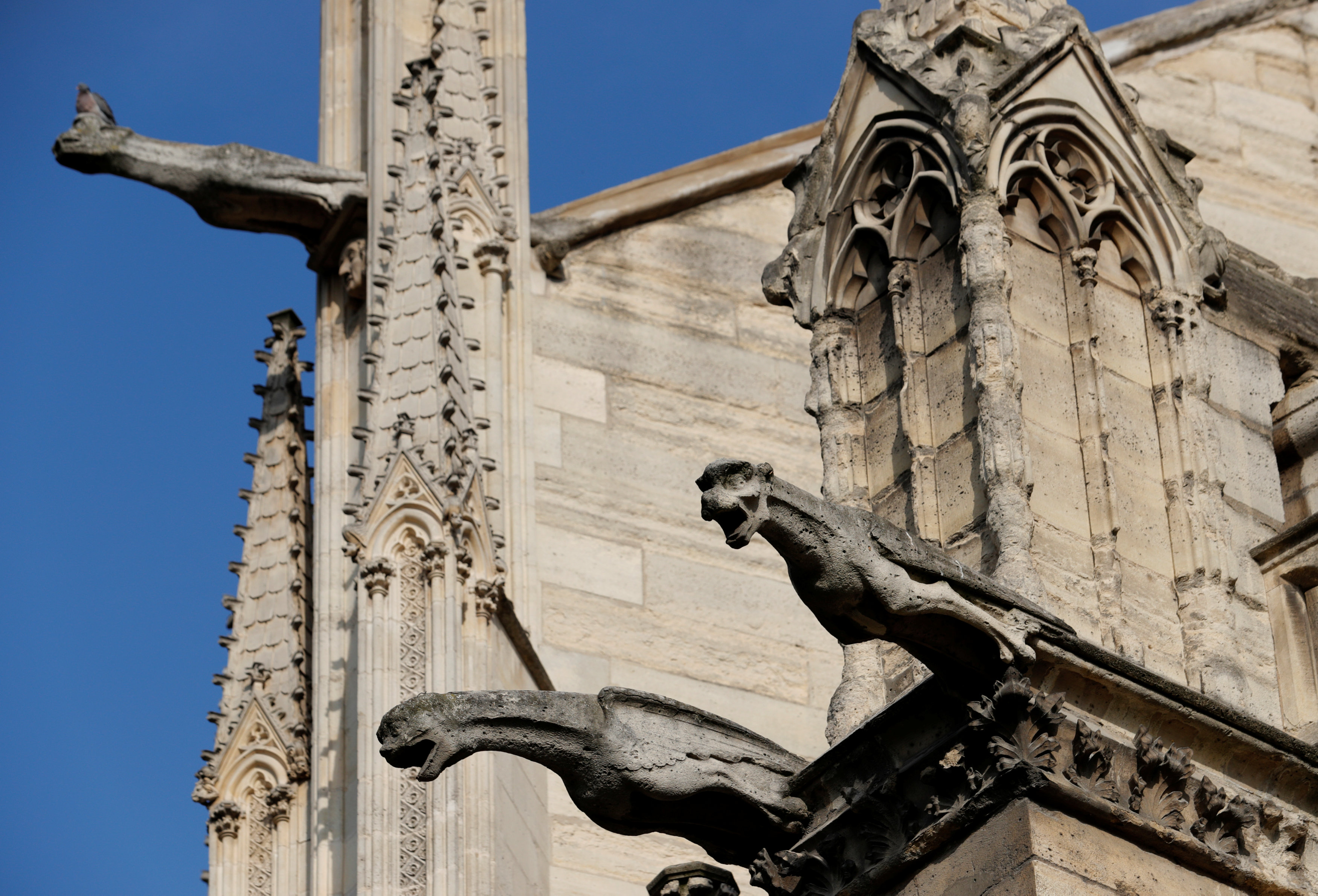 download gargoyle notre dame movie