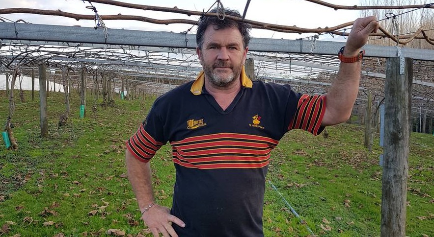 Kiwifruit growers take govt to court