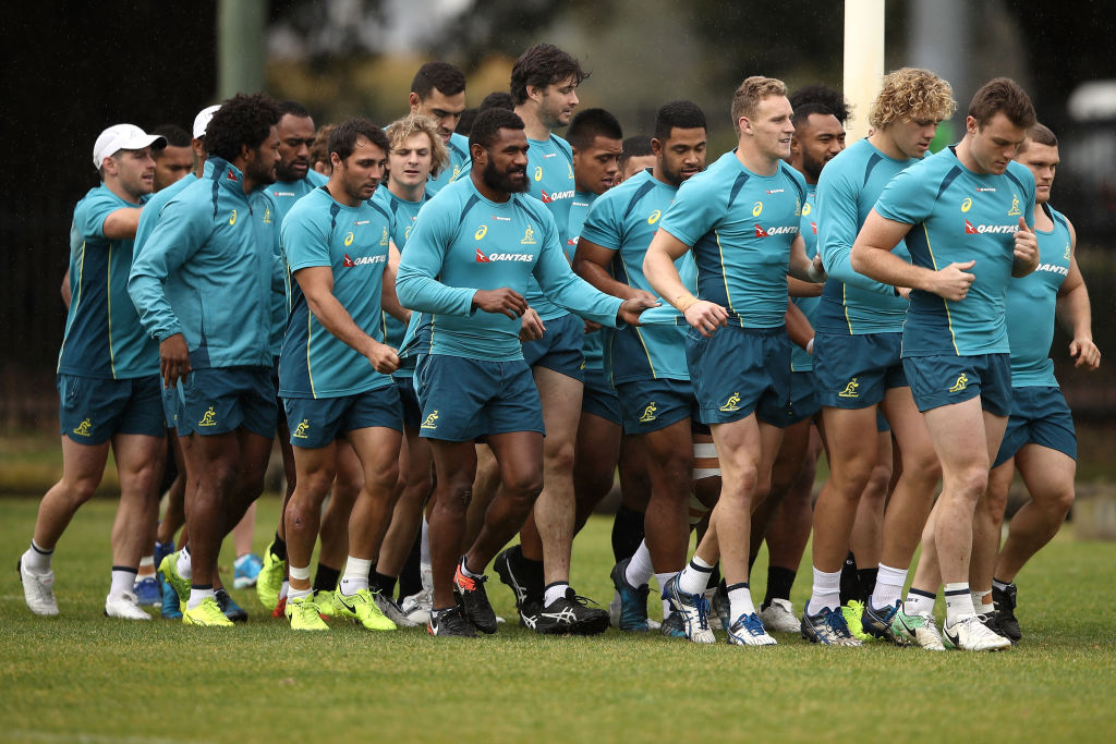 The Wallabies will arrive in Dunedin next Thursday. Photo Getty