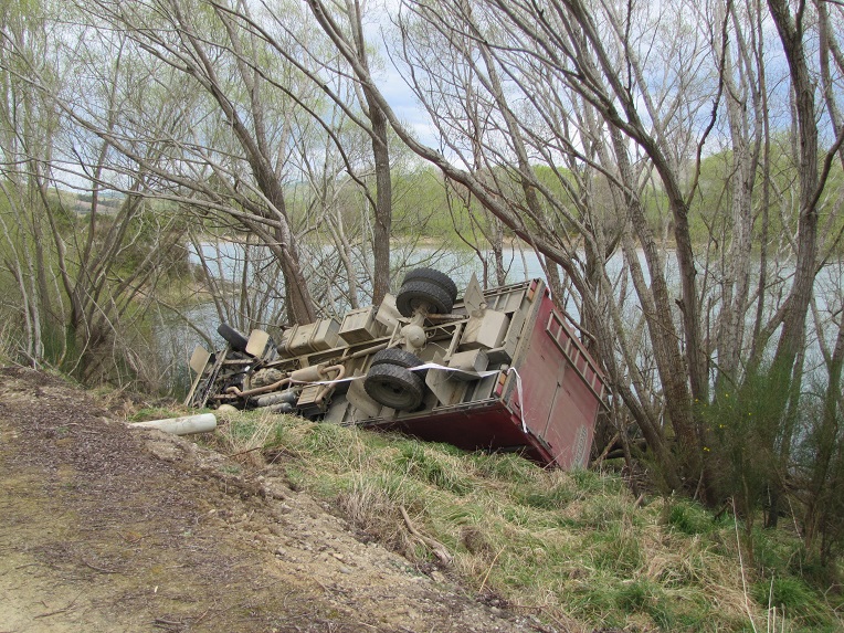 The driver and 48 bobby calves escaped injury when the truck went off the road. Photo Pam Jones