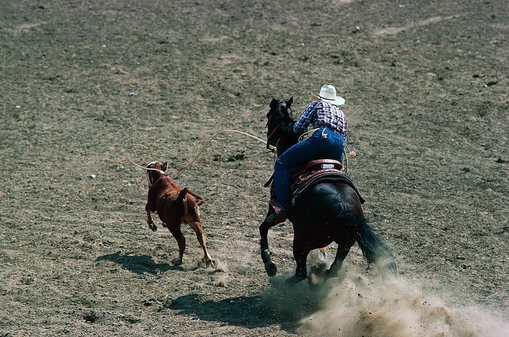 A major supporter has withdrawn from its involvement in rodeos. Photo Getty