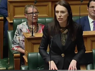 New Zealand's 52nd Parliament has opened and MPs have been sworn in, with Prime Minister Jacinda...