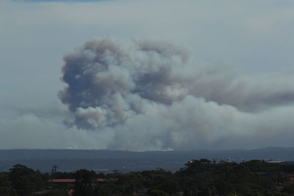 The bushfire, seen from Royal Randwick Racecourse, burns south of Sydney. Photo Getty 
