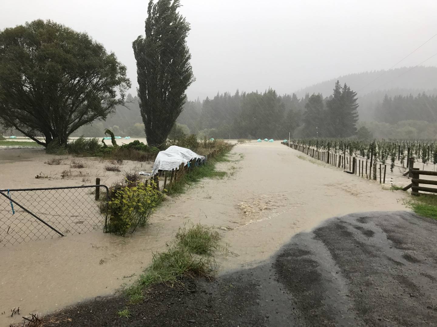The road to Eskdale Holiday Park has been made impassable by surface flooding. Photo: Paul Taylor...