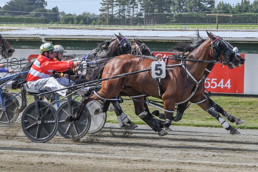 Kilowatt Kid and Blair Orange win at Ascot Park on Saturday. Photo: WILD RANGE PHOTOGRAPHY